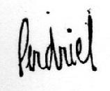 PERDRIEL