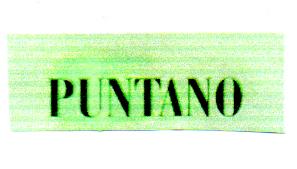 PUNTANO