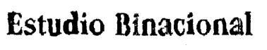 ESTUDIO BINACIONAL