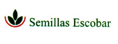 SEMILLAS ESCOBAR