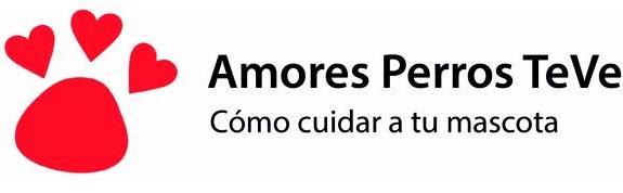 AMORES PERROS TEVE COMO CUIDAR A TU MASCOTA