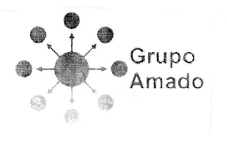 GRUPO AMADO