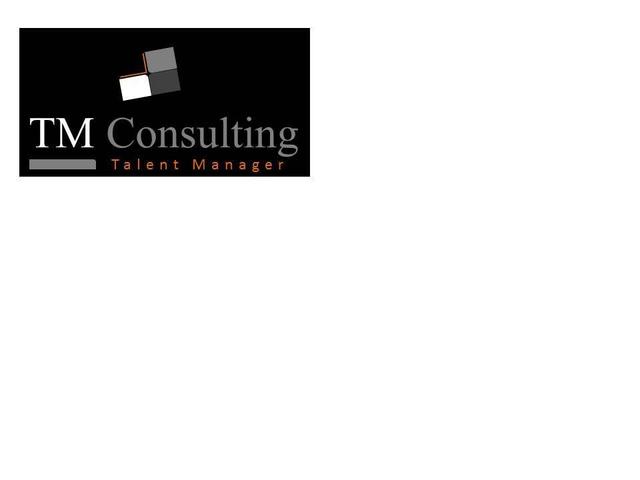 TALENT MANAGER CONSULTING TM