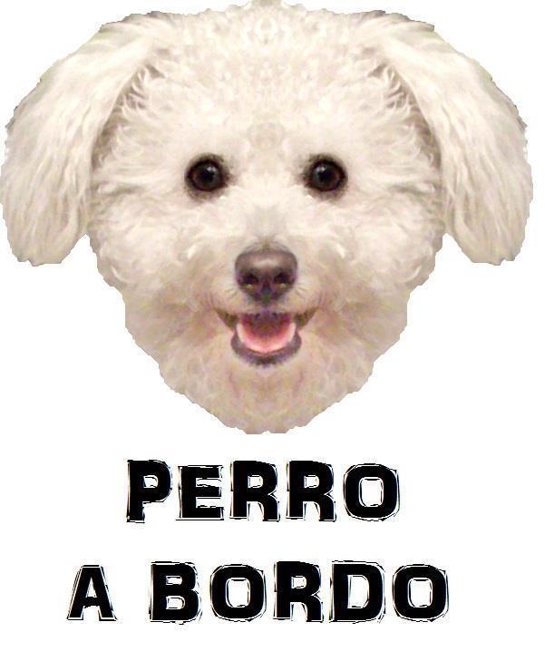 PERRO A BORDO