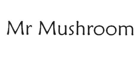 MR MUSHROOM