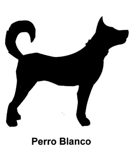 PERRO BLANCO