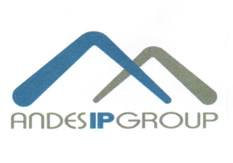 ANDESIPGROUP