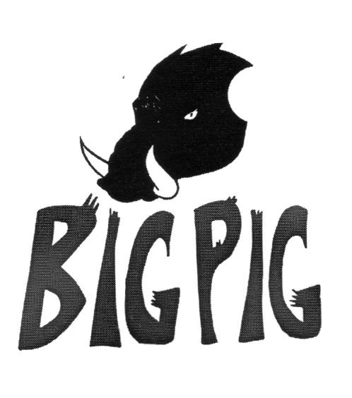 BIGPIG