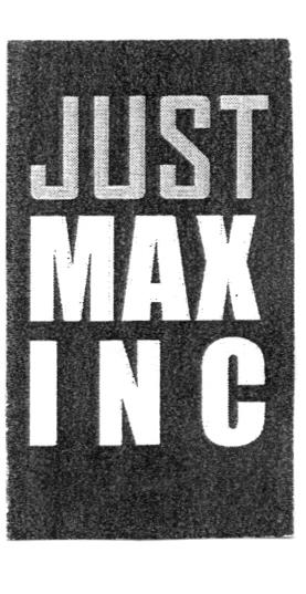 JUST MAX INC