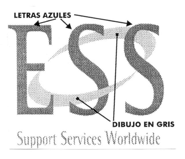 ESS SUPPORT SERVICES WORLDWIDE