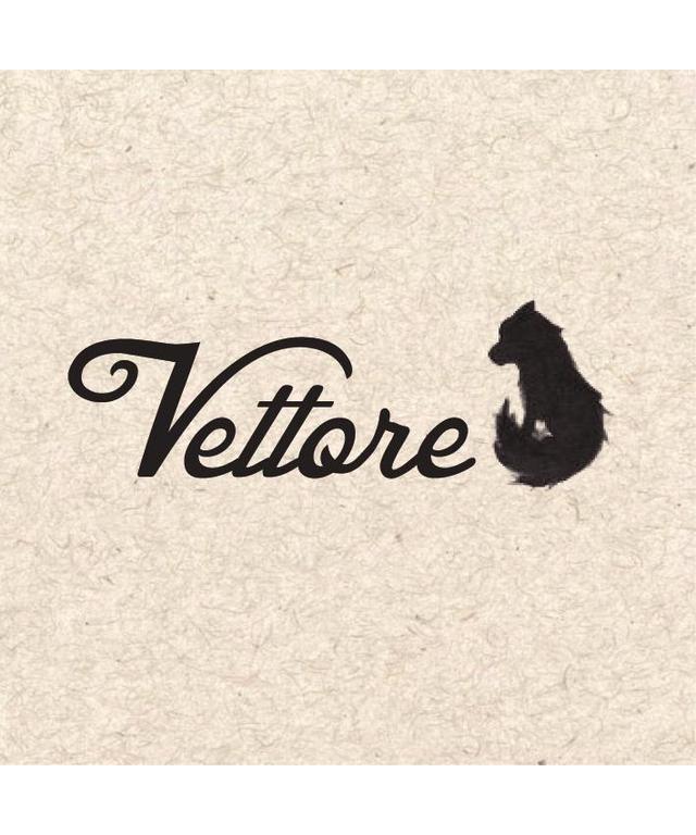 VETTORE