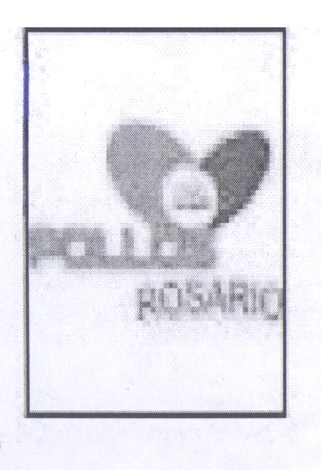POLLOS ROSARIO