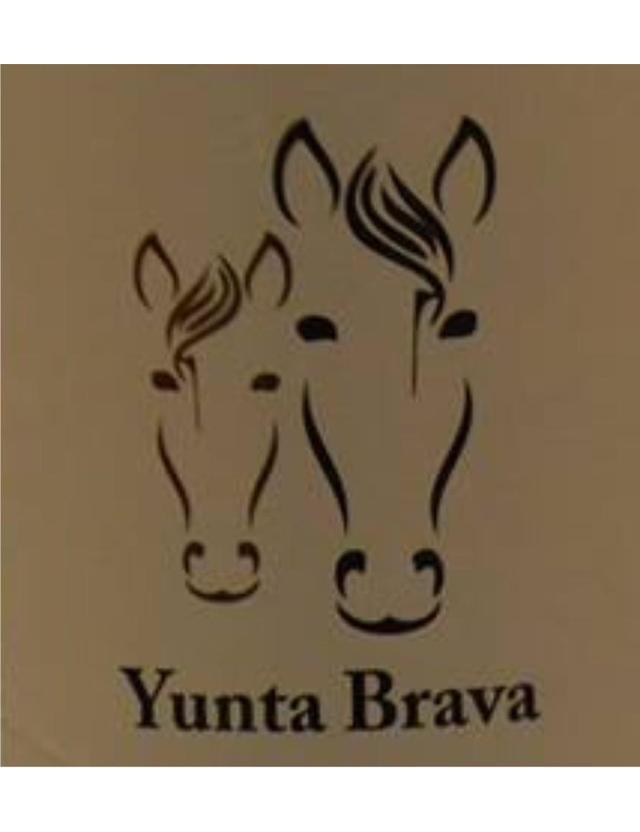 YUNTA BRAVA