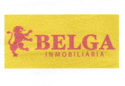 BELGA INMOBILIARIA