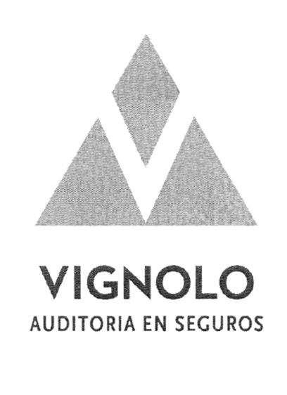 VIGNOLO AUDITORIA EN SEGUROS