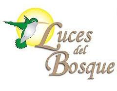 LUCES DEL BOSQUE