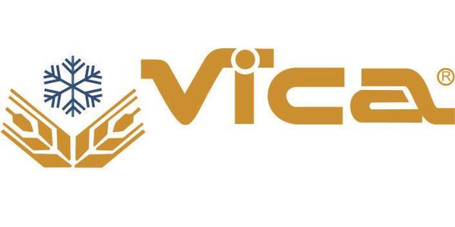 VICA