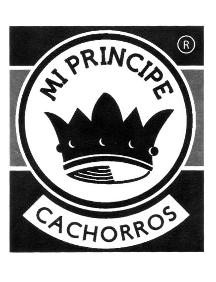 MI PRINCIPE CACHORROS