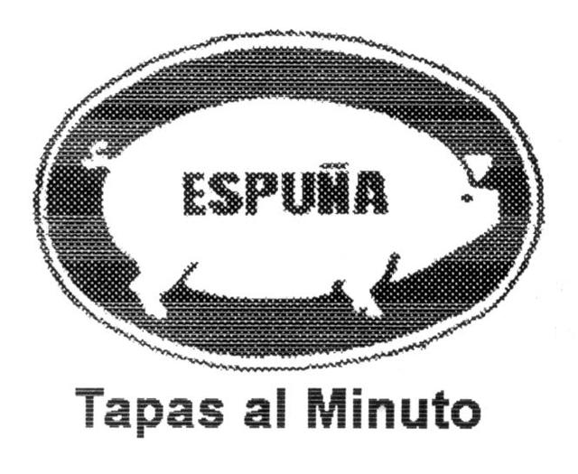 ESPUÑA TAPAS AL MINUTO