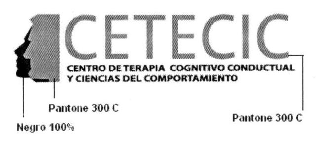 CETECIC CENTRO DE TERAPIA COGNITIVO CONDUCTUAL Y CIENCIAS DEL         COMPORTAMIENTO