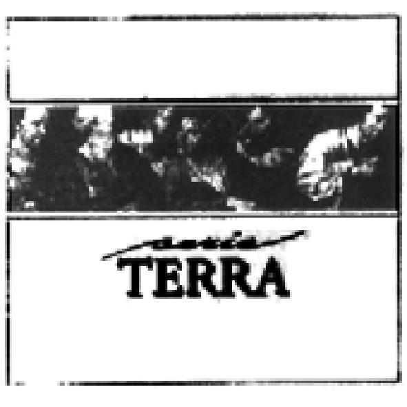 SERIE TERRA