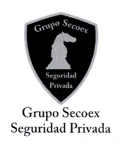 GRUPO SECOEX SEGURIDAD PRIVADA