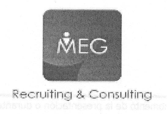 MEG RECRUITING & CONSULTING