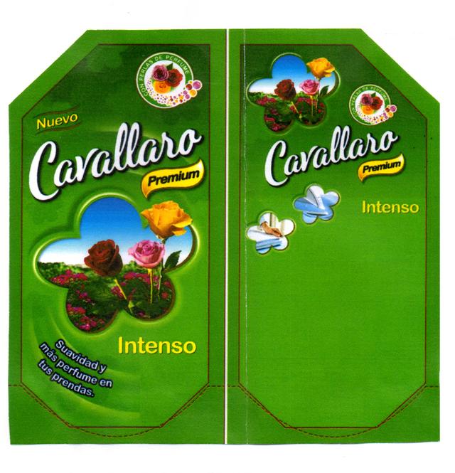 NUEVO CAVALLARO PREMIUM INTENSO CON PERLAS DE PERFUME SUAVIDAD Y MAS PERFUME EN TUS PRENDAS