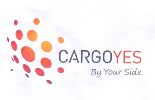 CARGOYES BY YOUR SIDE