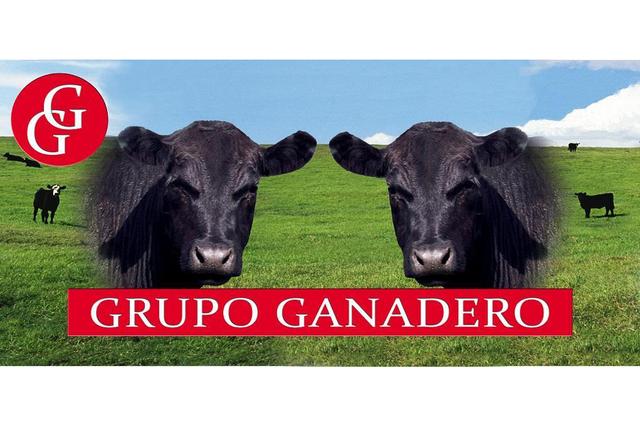 GG GRUPO GANADERO