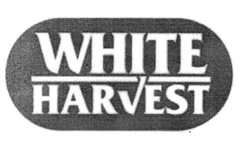 WHITE HARVEST