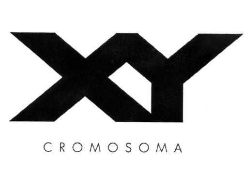 XY CROMOSOMA