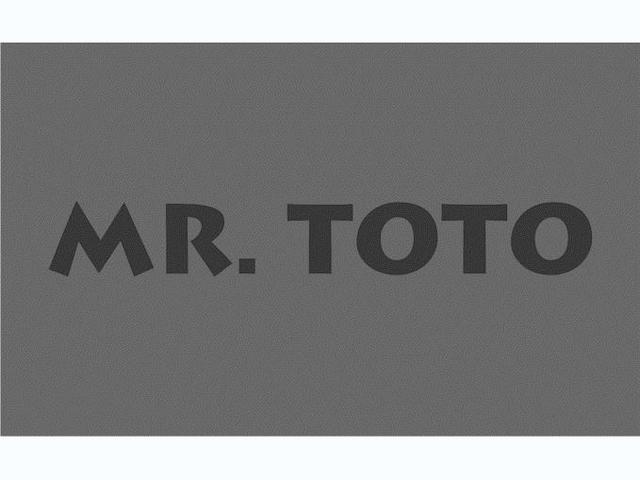 MR. TOTO