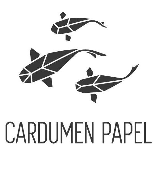 CARDUMEN PAPEL