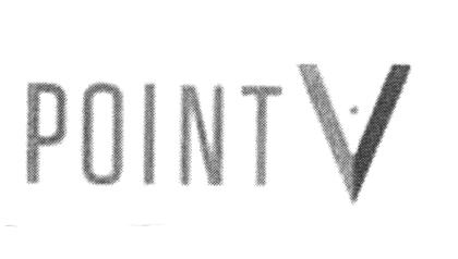 POINT V