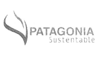 PATAGONIA SUSTENTABLE