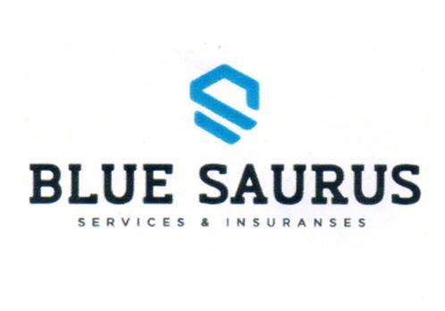 BLUE SAURUS SERVICES & INSURANSES