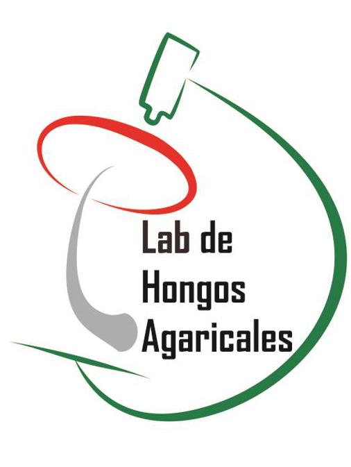 LAB DE HONGOS AGARICALES