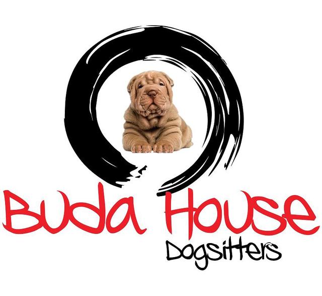 BUDA HOUSE DOGSITTERS