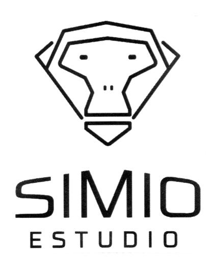 SIMIO ESTUDIO