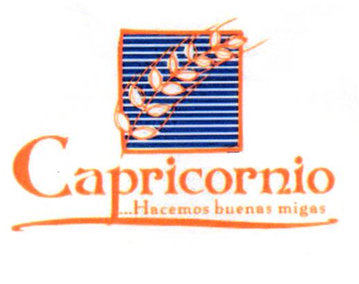 CAPRICORNIO...HACEMOS BUENAS MIGAS