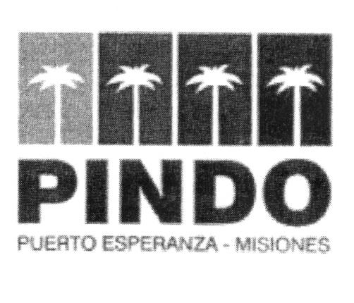 PINDO PUERTO ESPERANZA -MISIONES-