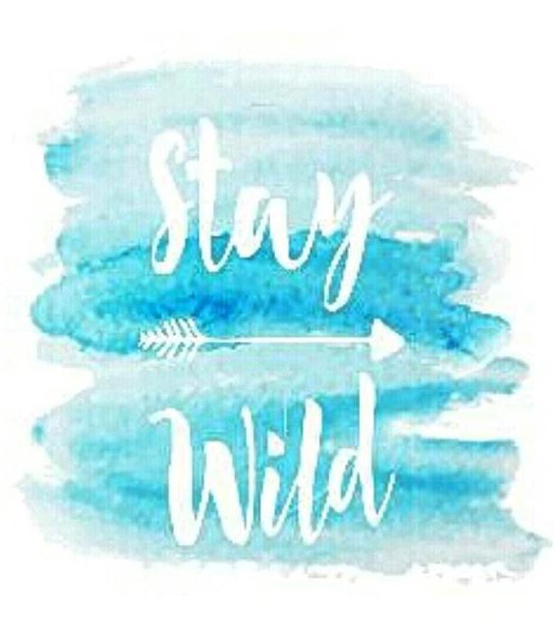 STAY WILD