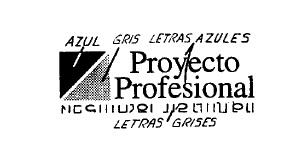 PROYECTO PROFESIONAL