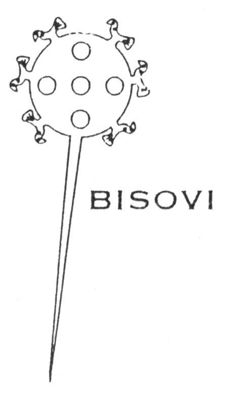 BISOVI