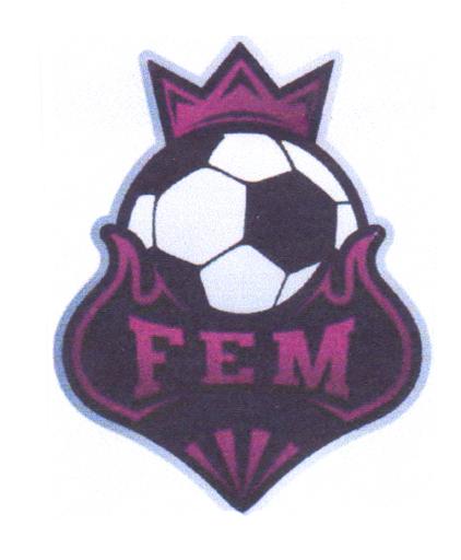 FEM