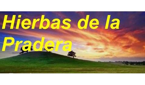 HIERBAS DE LA PRADERA