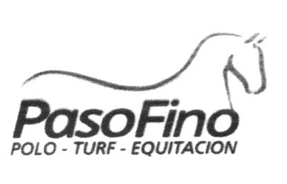 PASO FINO POLO - TURF - EQUITACION