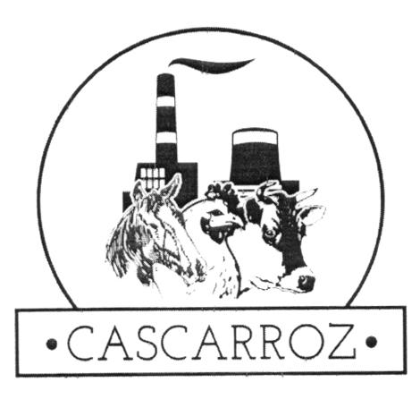 CASCARROZ