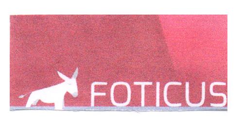 FOTICUS